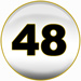 Powerball fifth winning number is 48 